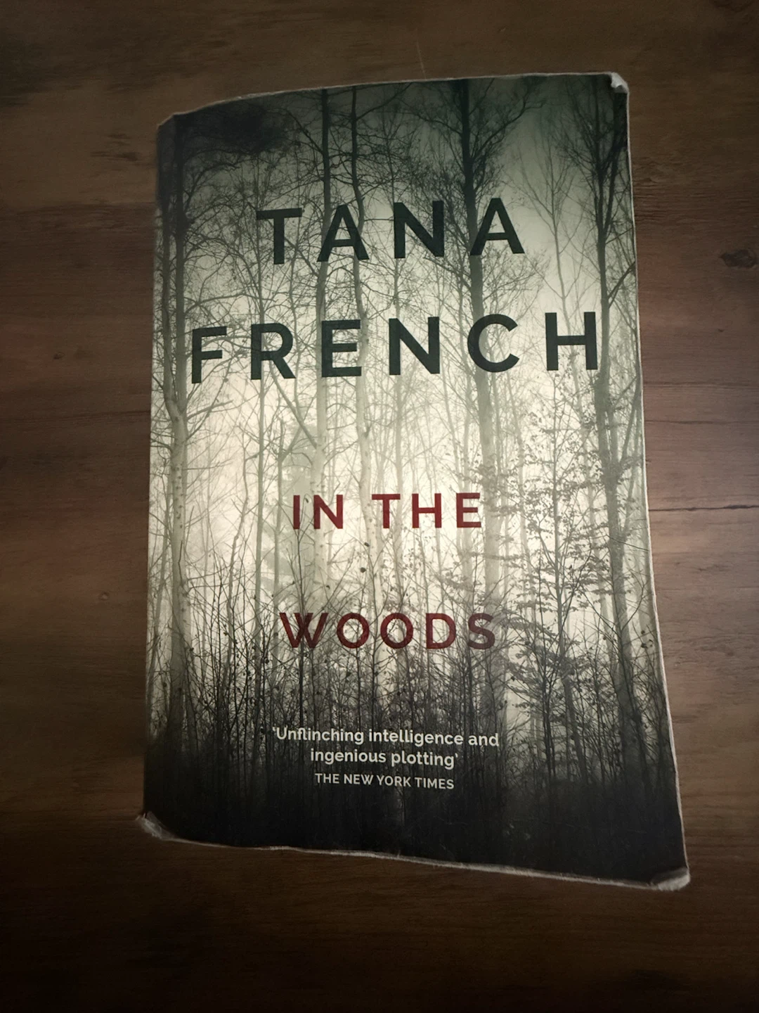 In the Woods by Tana French paperback book