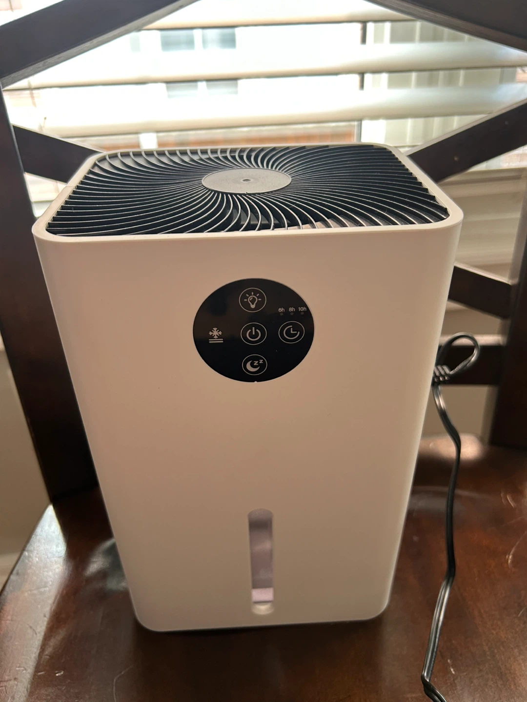 Dehumidifier DS01