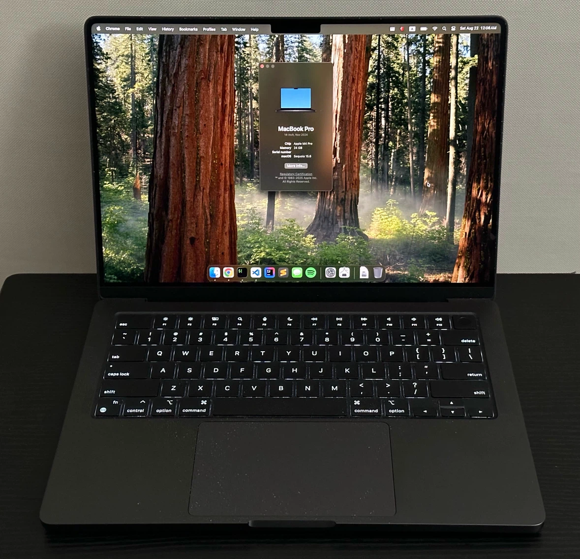 LNIB 14” MacBook Pro M4Pro 24GB/512GB Flawless - photo 2