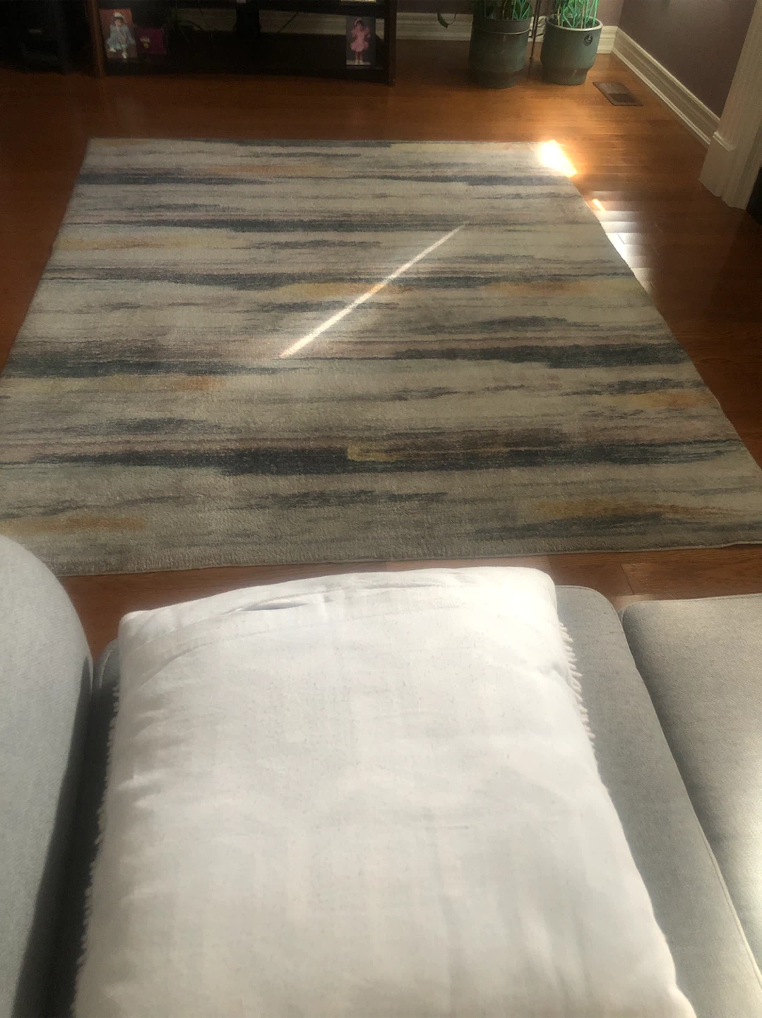Area Rug carpet