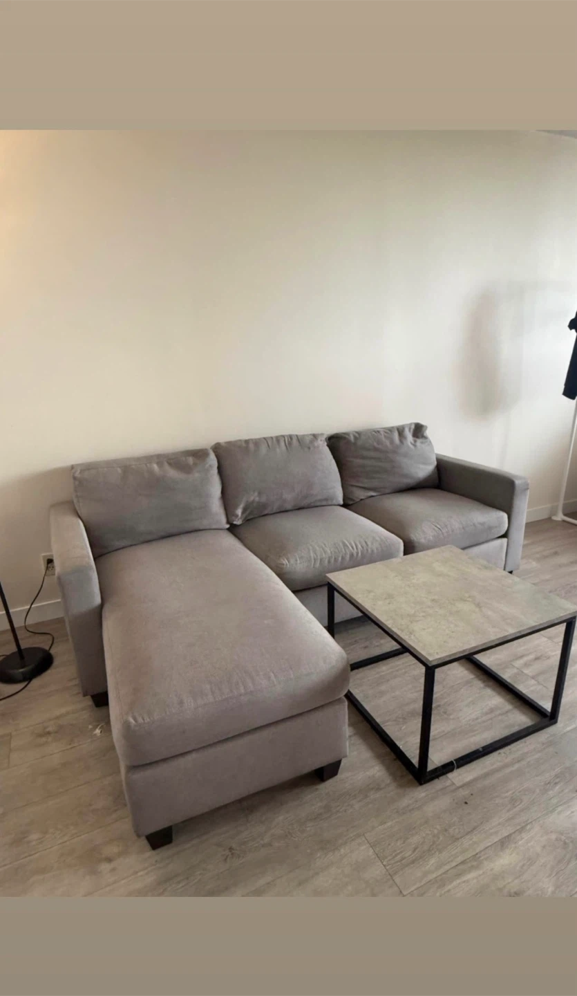 Grey Sectional Sofa with Chaise (we deliver)