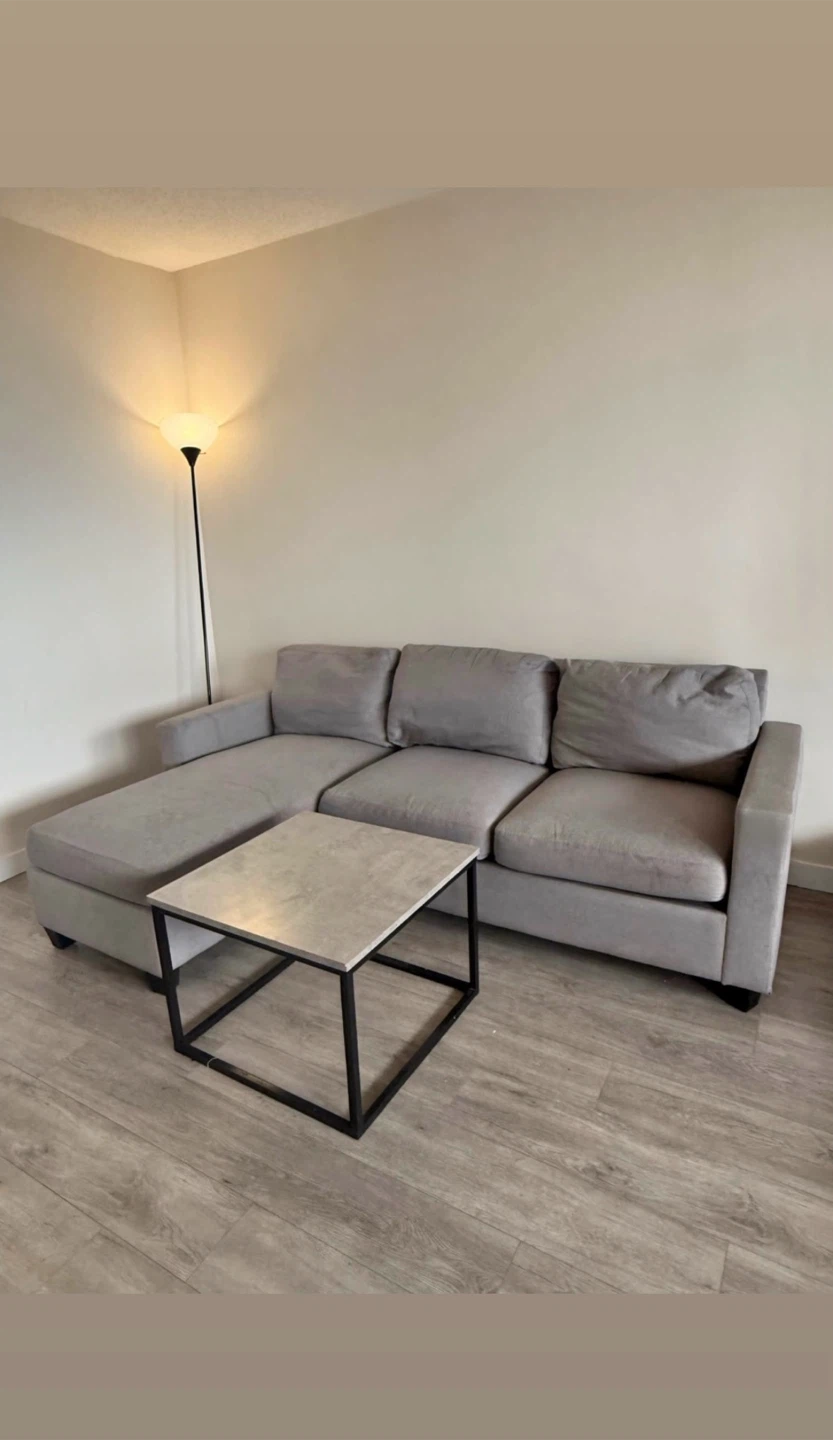 Grey Sectional Sofa with Chaise (we deliver) - photo 2