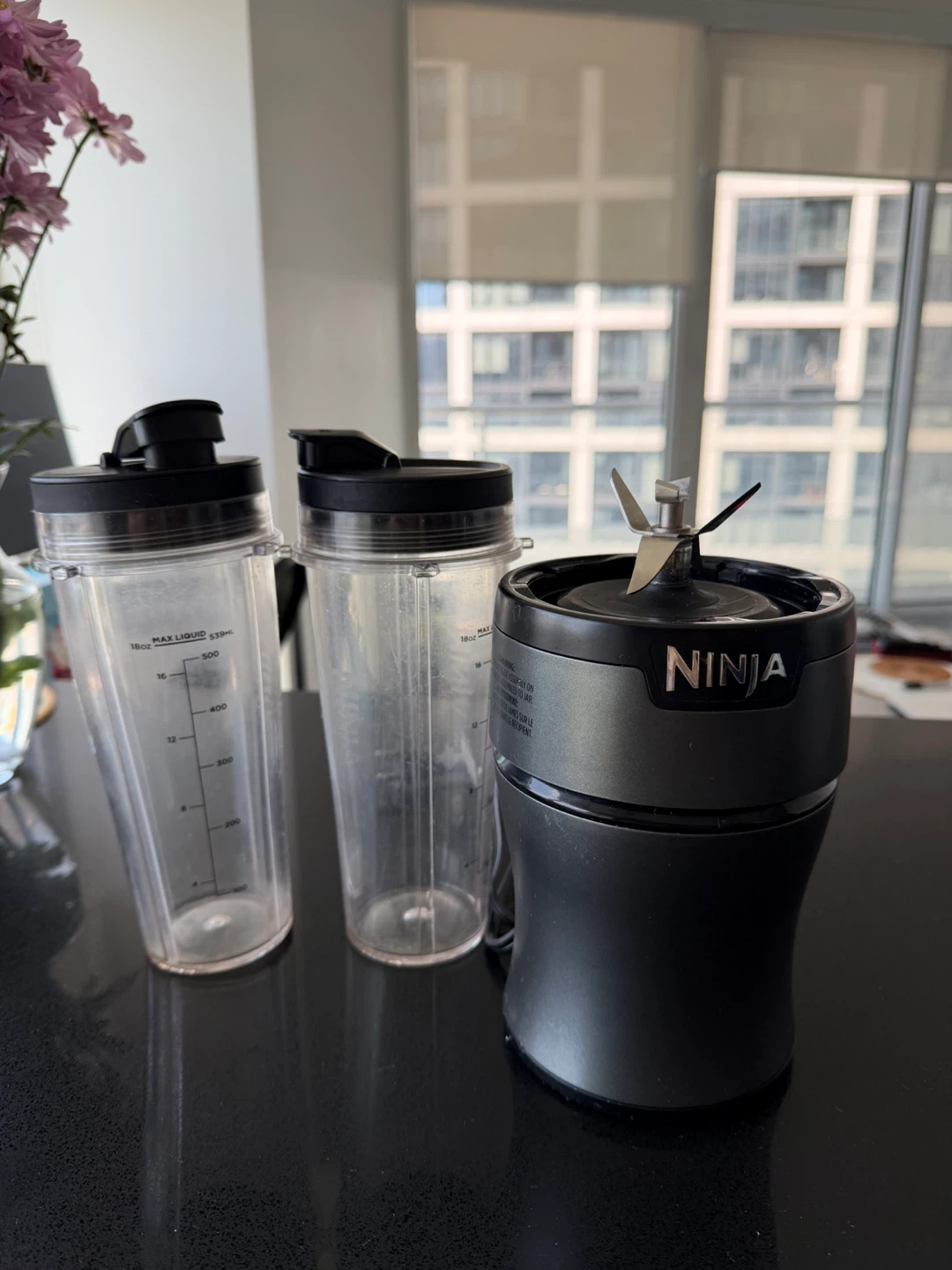 Ninja Blender with 2 Cups