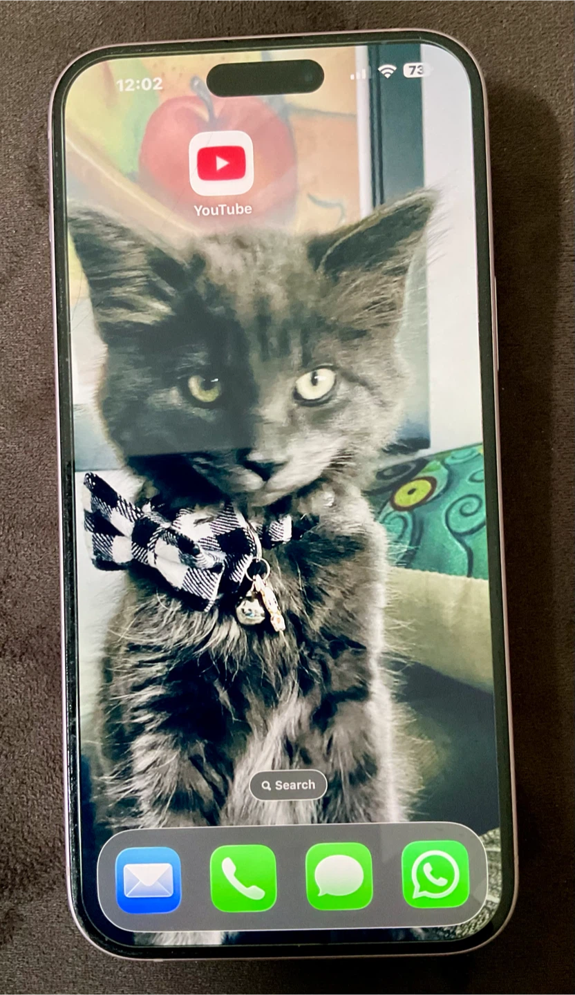 Apple iPhone 15 Plus 256Gb - photo 3
