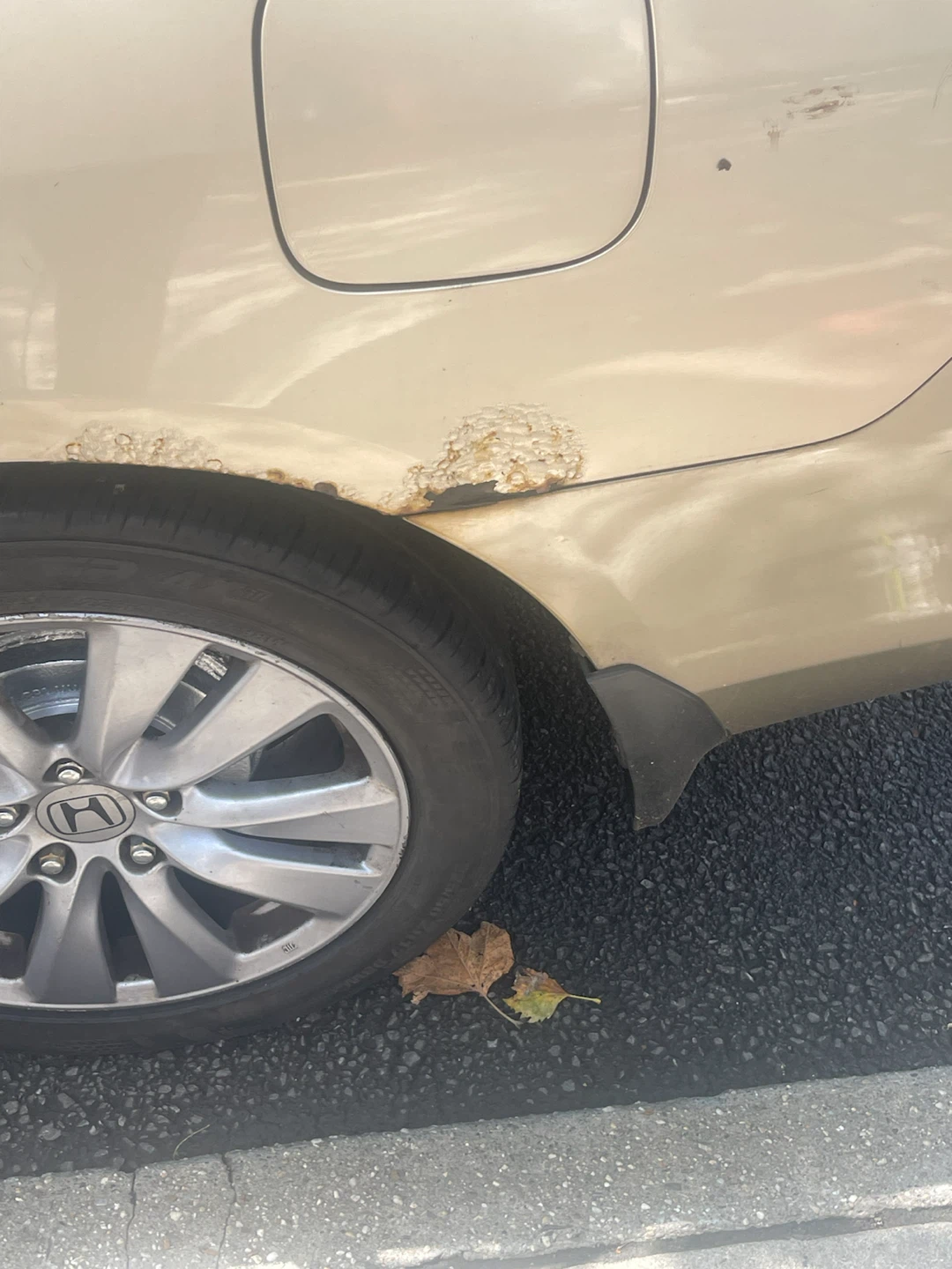 2007 Honda Accord Sedan - photo 4