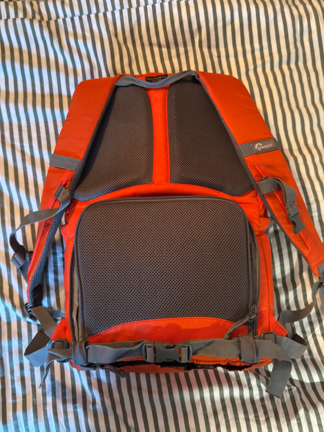 Lowepro 22L AW Hatchback Camera Day Pack - photo 2