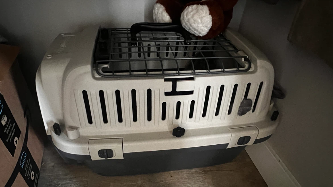 Essentials Pet Carrier