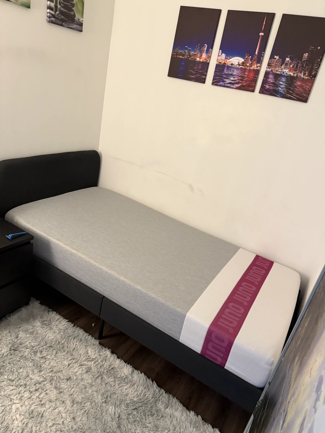 Twin Bed Frame with Juno Mattress – Excellent Condition