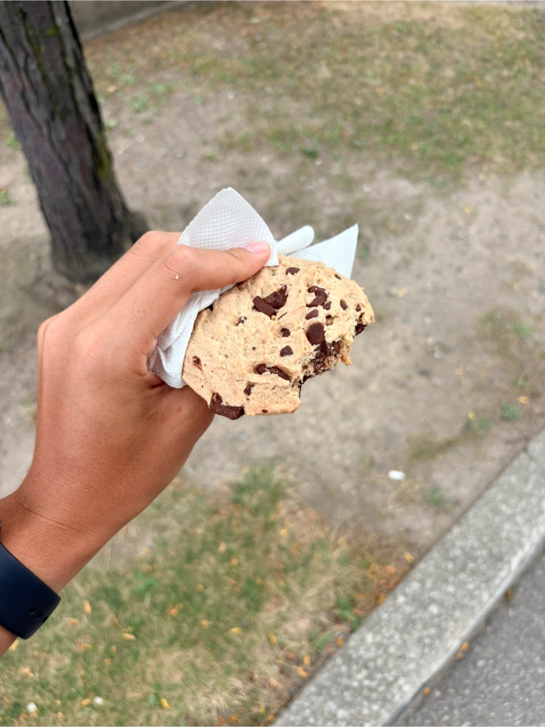 Chocolate Chip Cookie