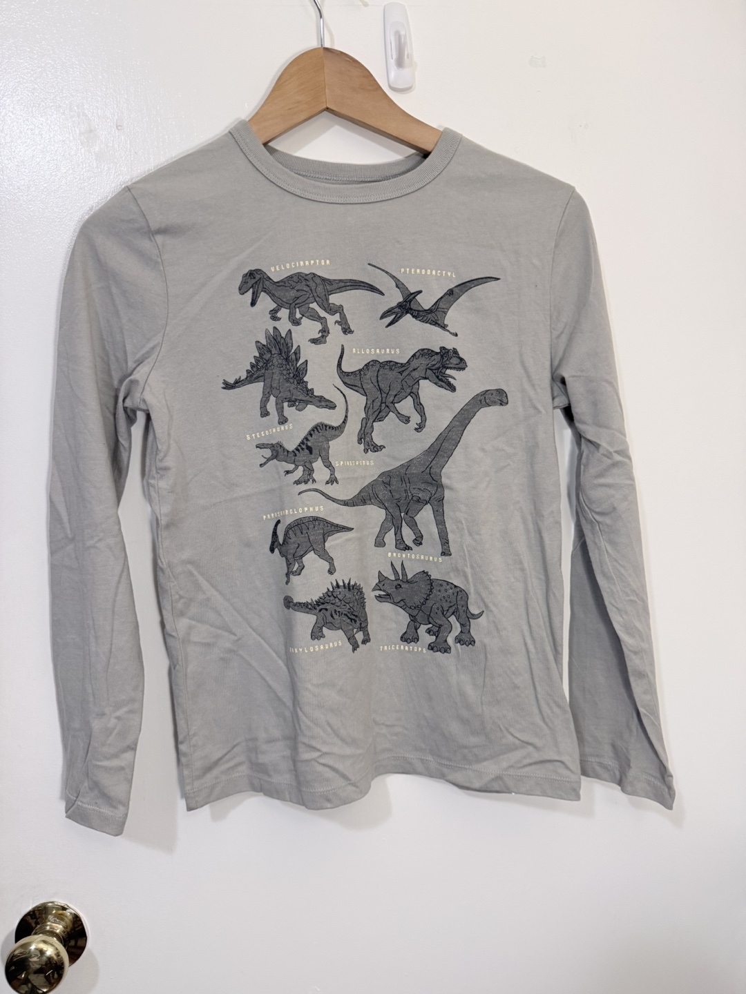 New WOT Gap Kids Grey Dinosaur Graphic Long Sleeve T-Shirt LG