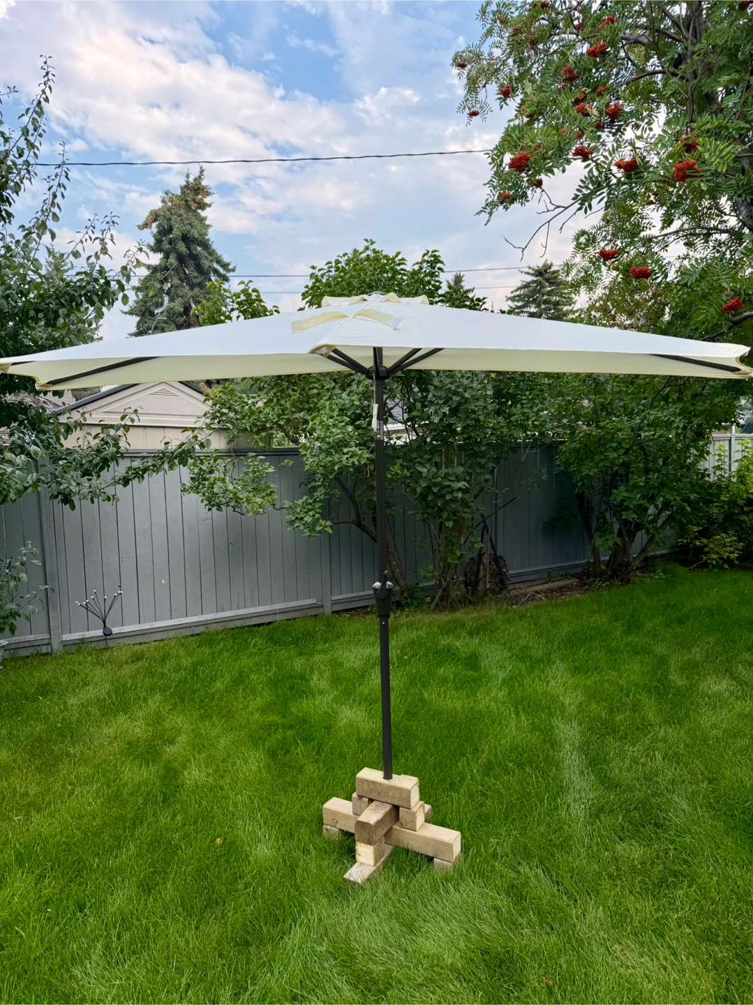 Patio Umbrella