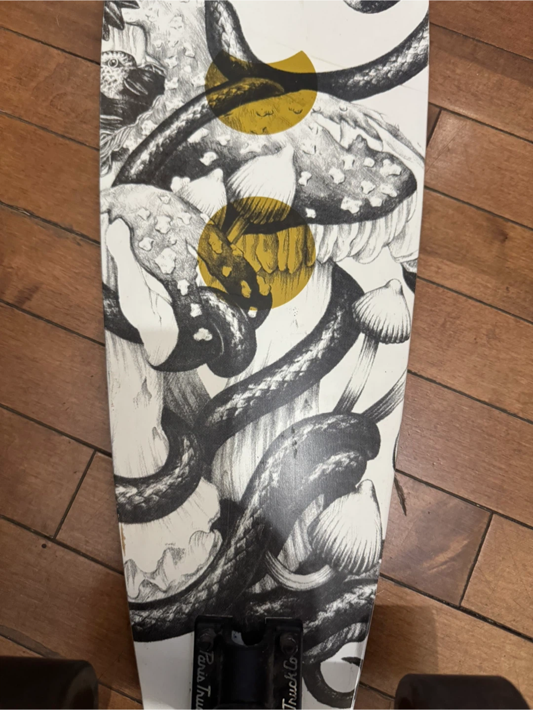 Arbor Skateboards Fish Bamboo Collection Skateboard - photo 5