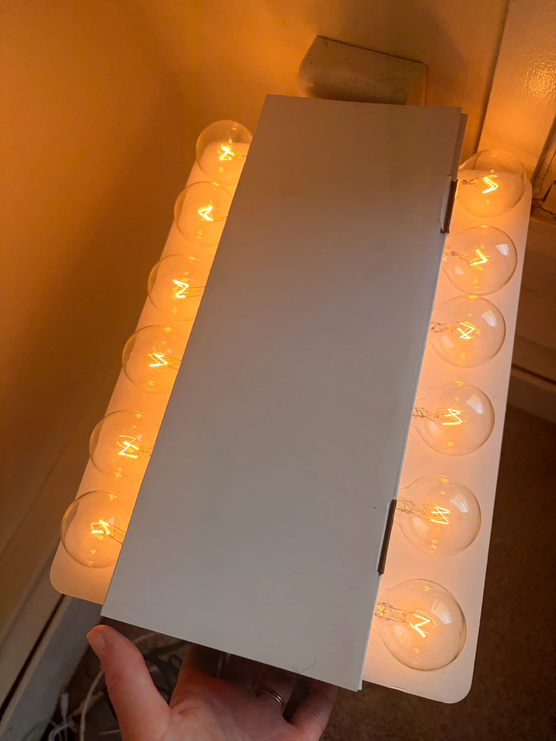Canvas Luna Garden String Lights - photo 3