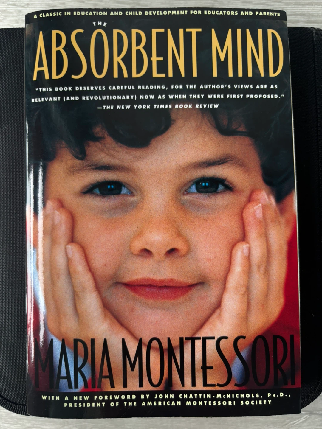 The Absorbent Mind by Maria Montessori