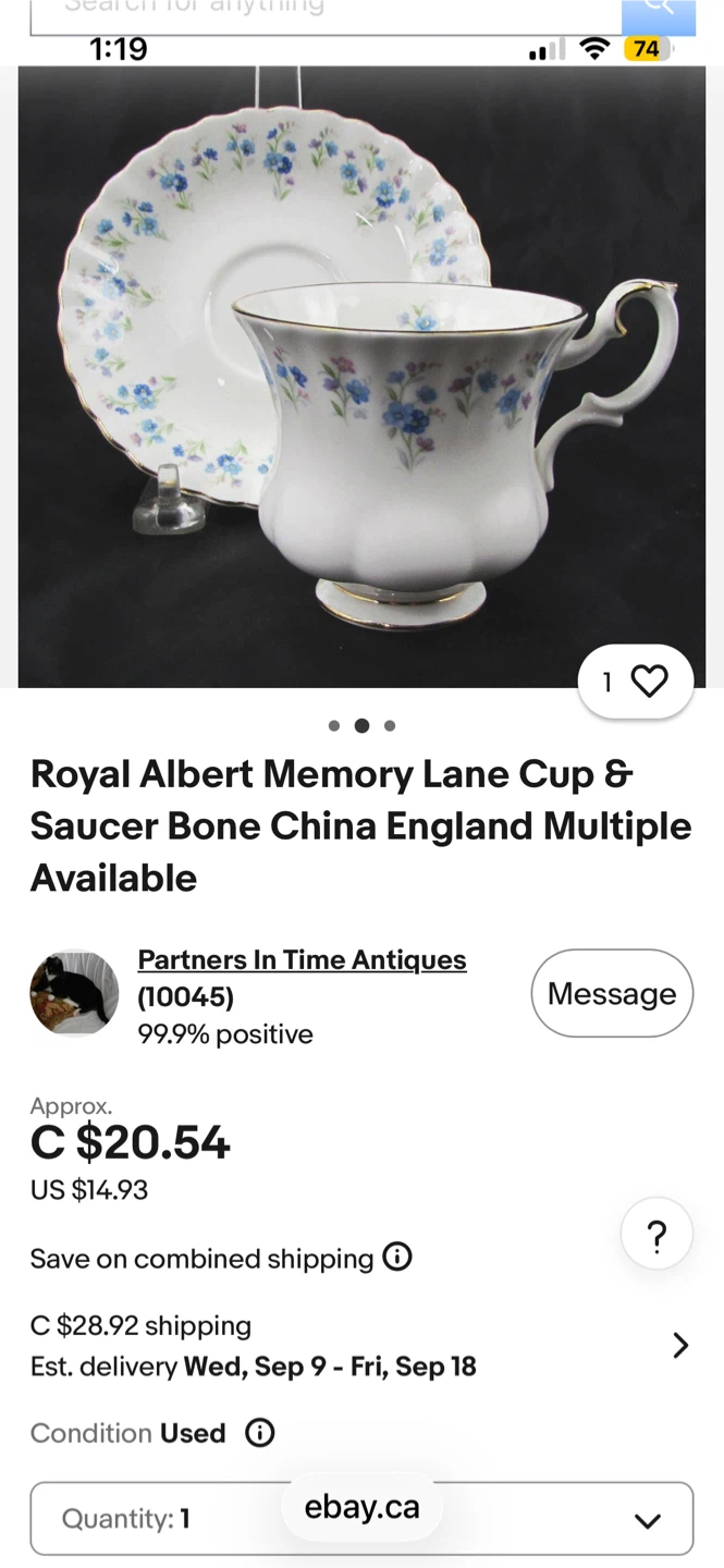 Royal Albert Memory Lane Cup & Saucer Bone China England
