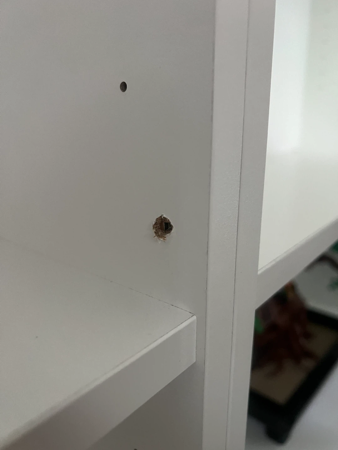 IKEA Billy Bookcase Set - 3 Pieces - $150 OBO - photo 2