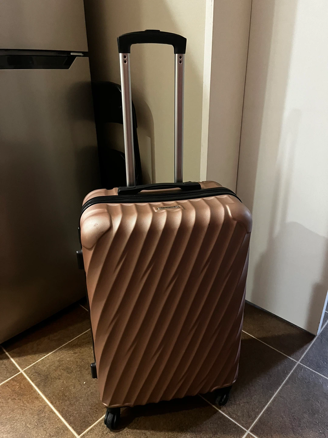 Wagon R Rose Gold Hardside checked in Suitcase