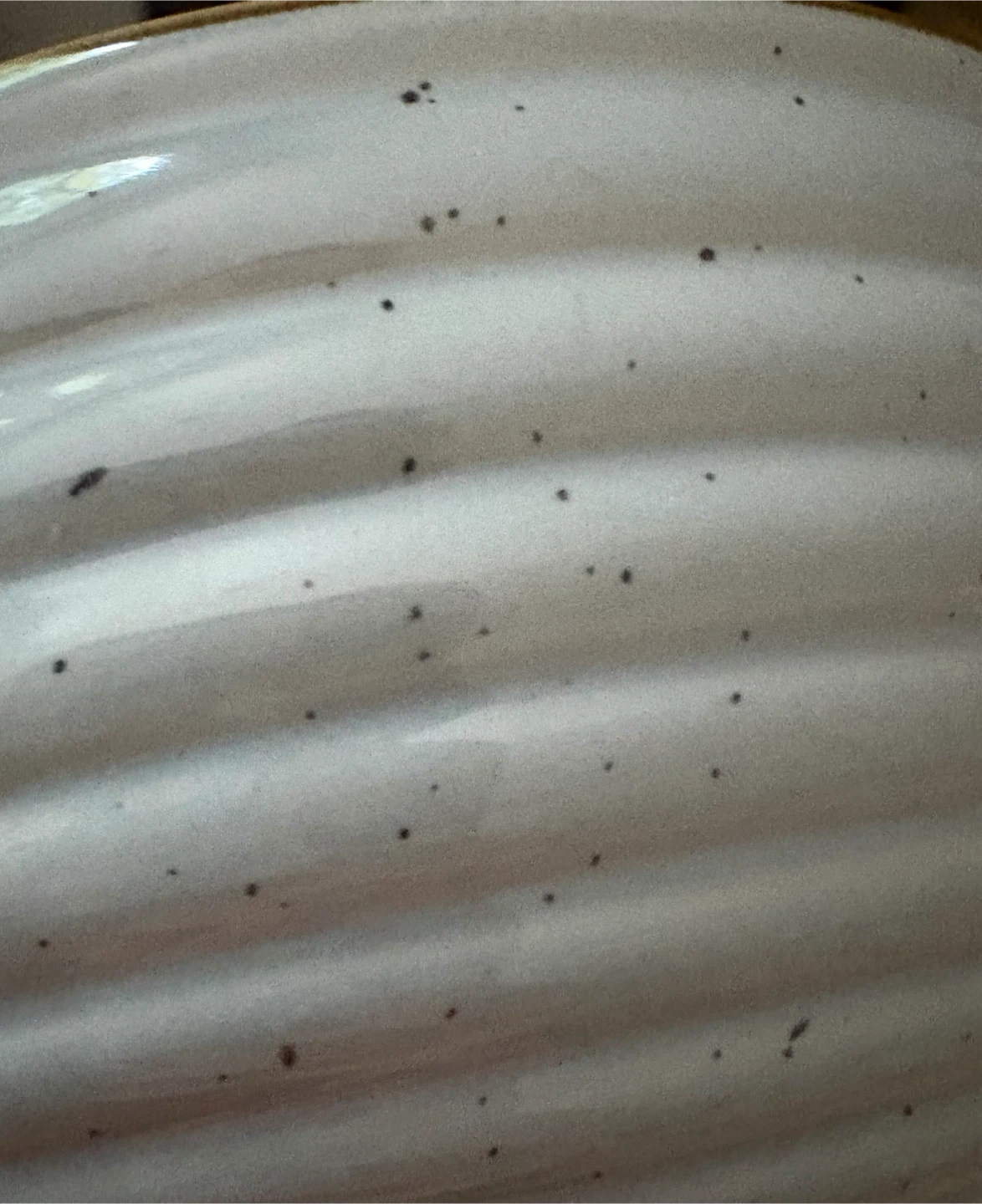 Signature Housewares Speckled Pet Bowls - photo 3