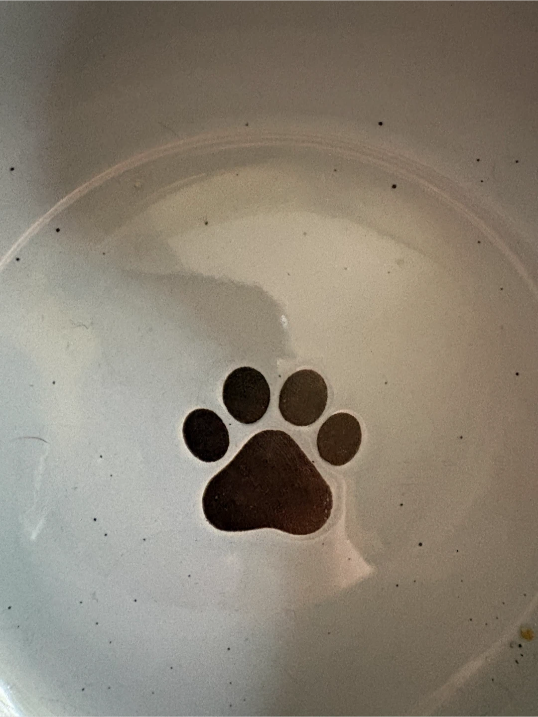 Signature Housewares Speckled Pet Bowls - photo 4