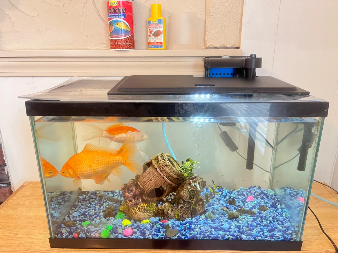Aquarium Fish Tank with Filter - photo 2