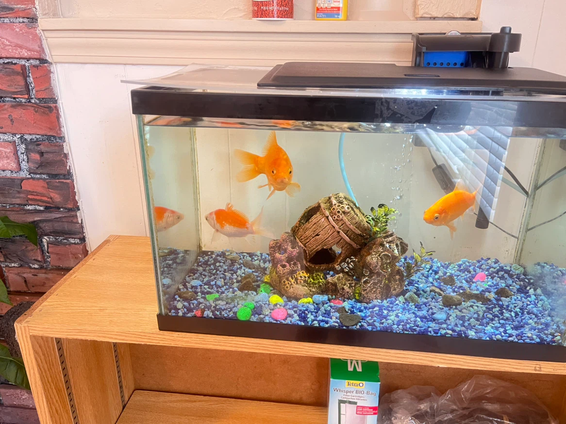 Aquarium Fish Tank with Filter - photo 3