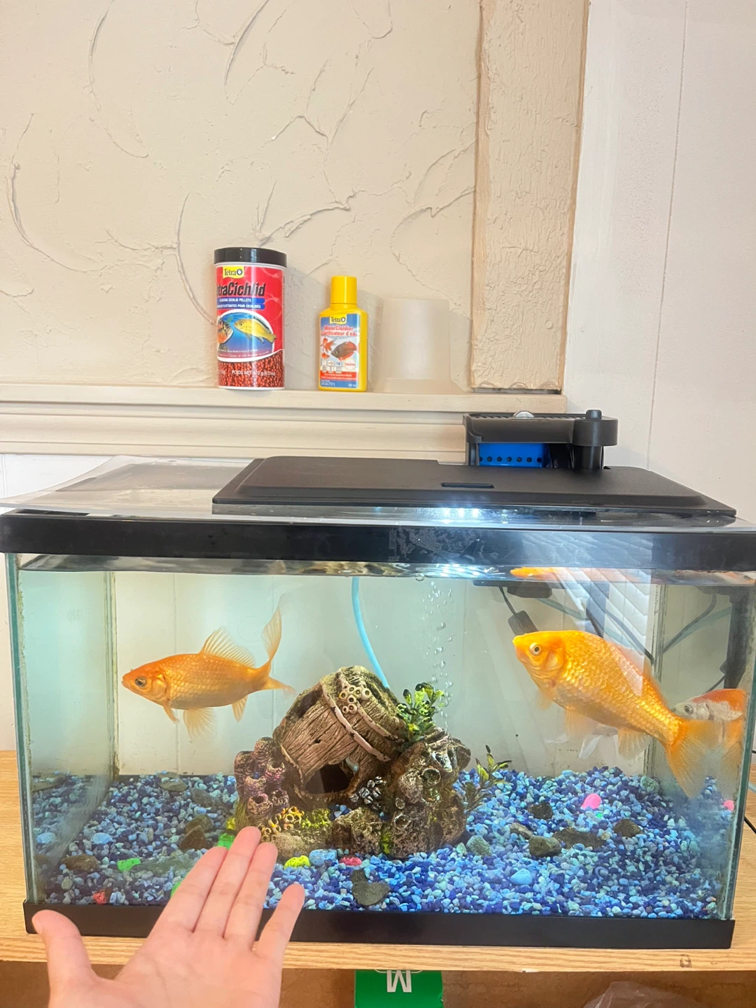 Aquarium Fish Tank with Filter - photo 4