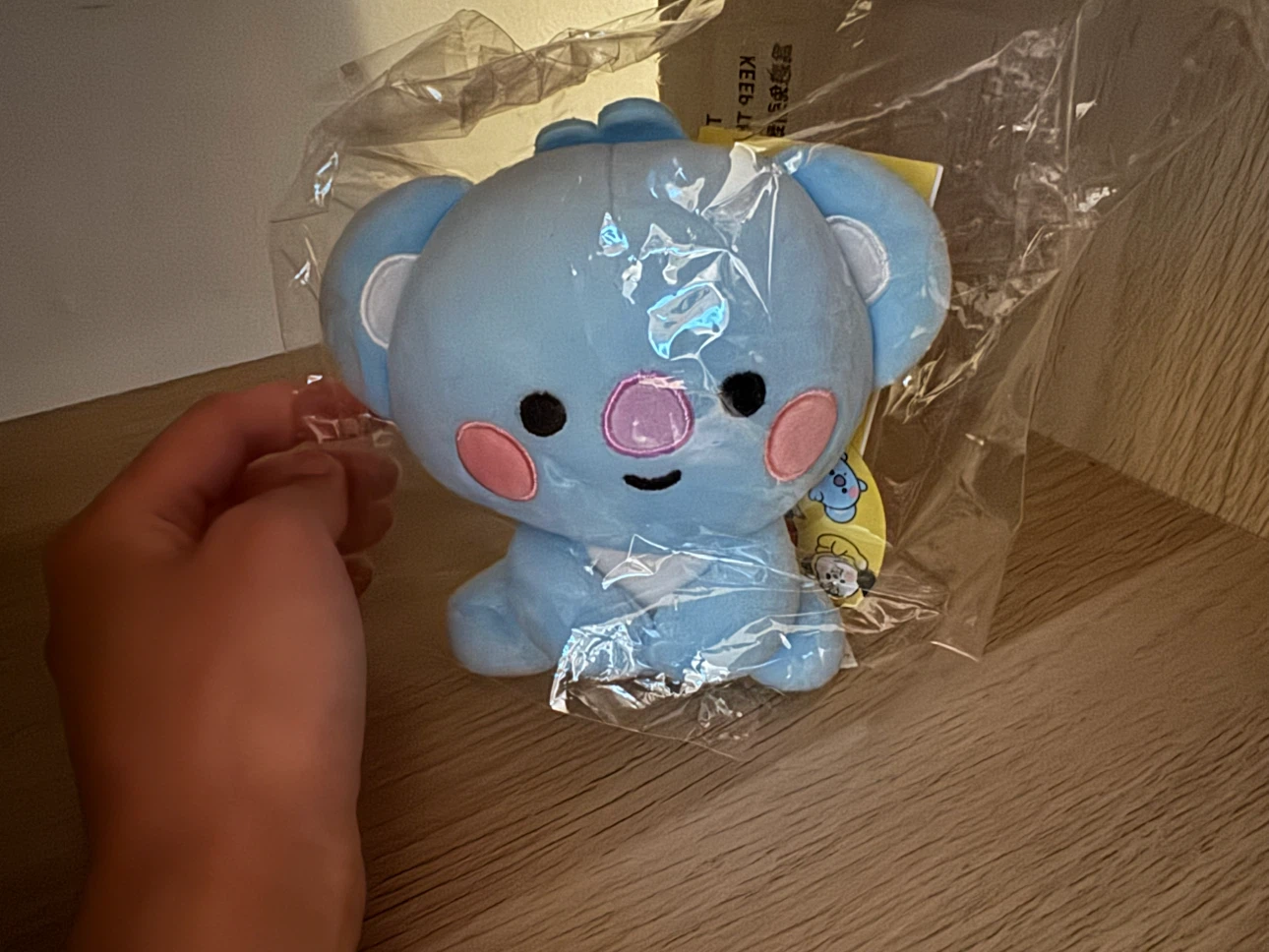 BT21 Baby Koya Plush Toy