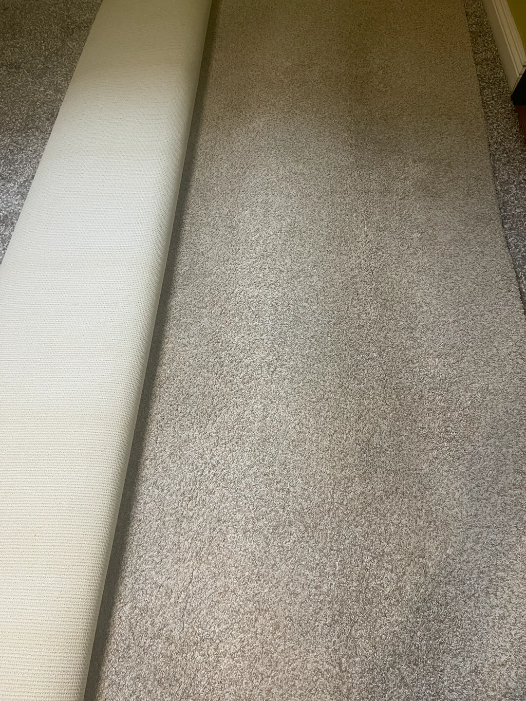 Carpet