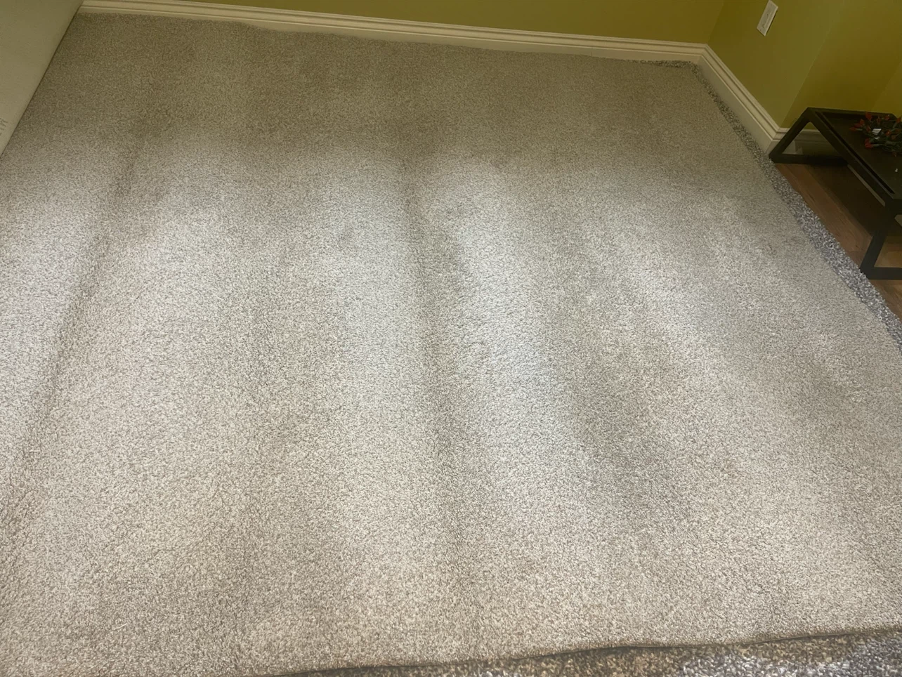 Carpet - photo 2