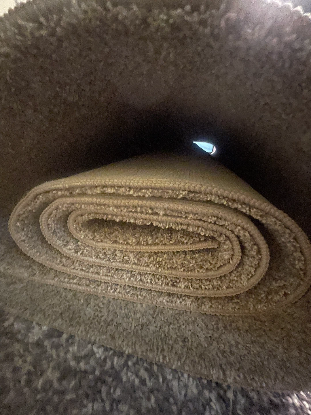 Carpet - photo 3