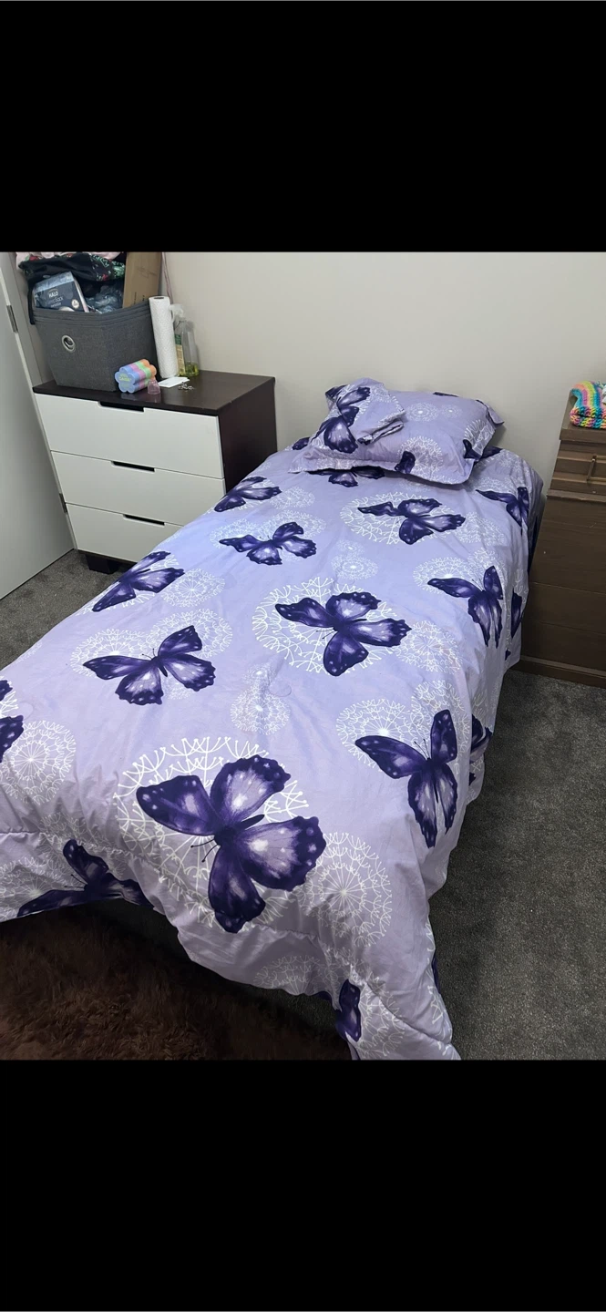 Single bed frame and mattress