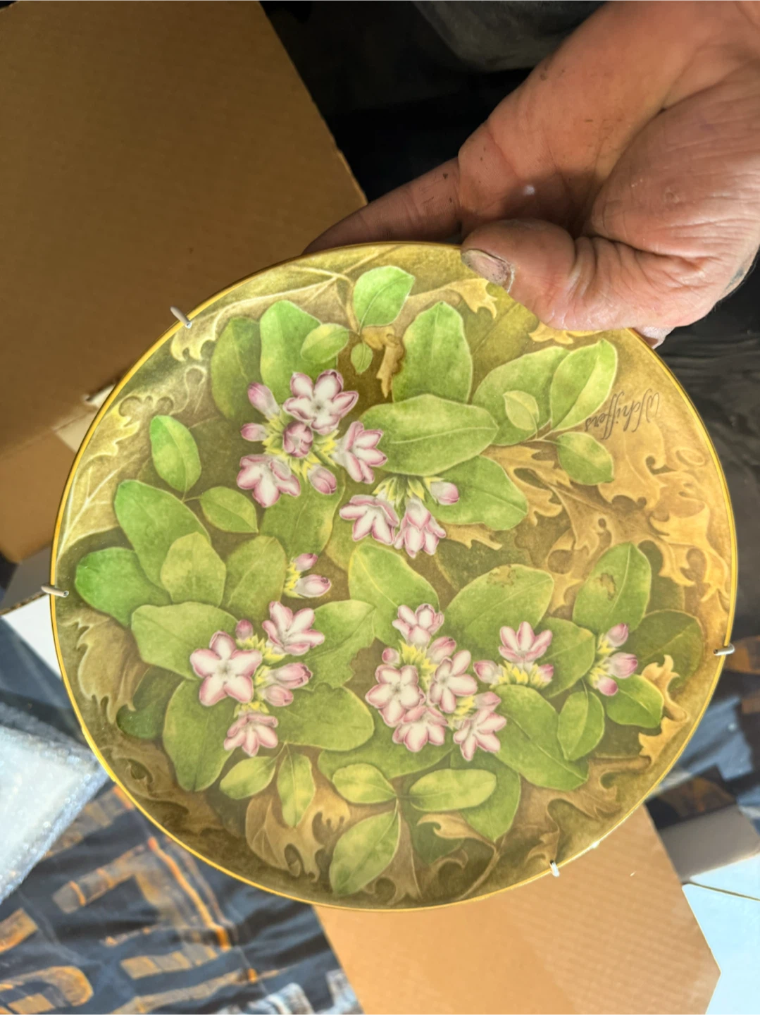Decorative Collector Plates with Floral Designs