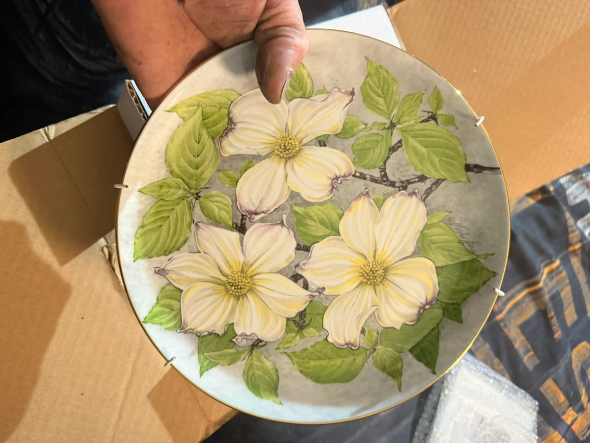Decorative Collector Plates with Floral Designs - photo 2