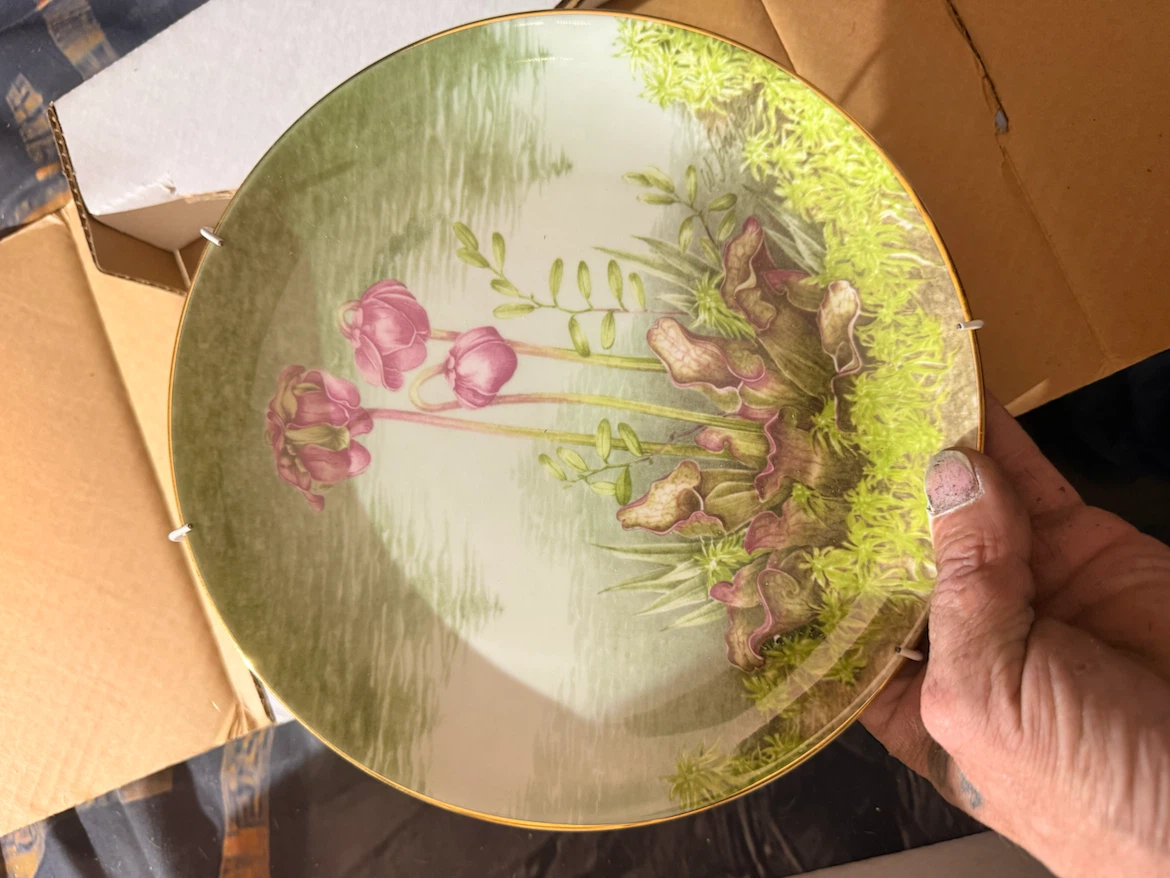 Decorative Collector Plates with Floral Designs - photo 3