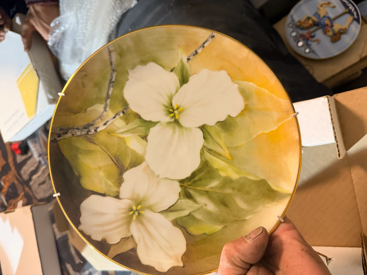 Decorative Collector Plates with Floral Designs - photo 4