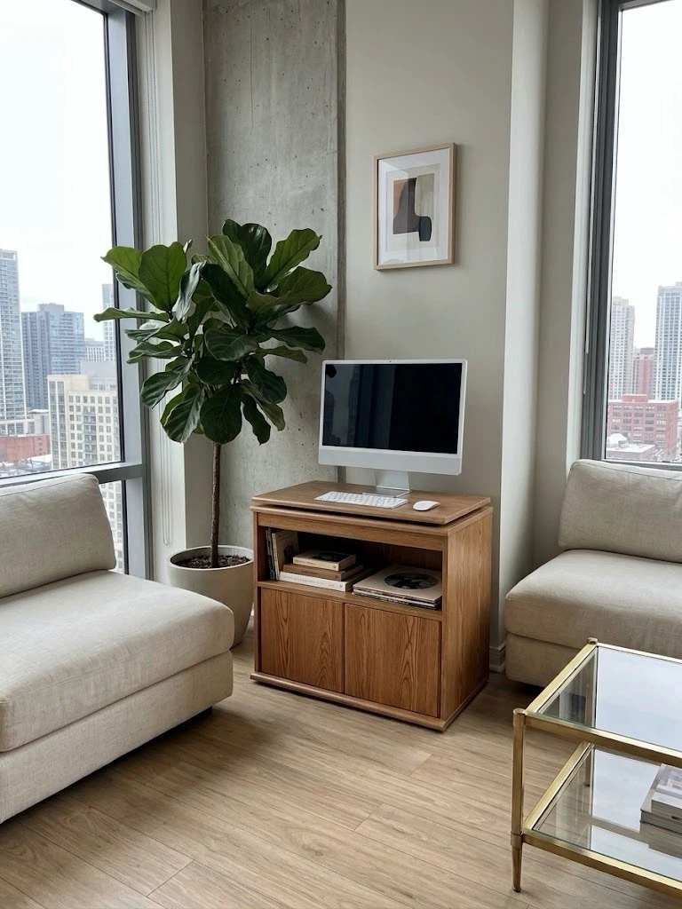 Vintage Wood TV Stand with Cabinet
