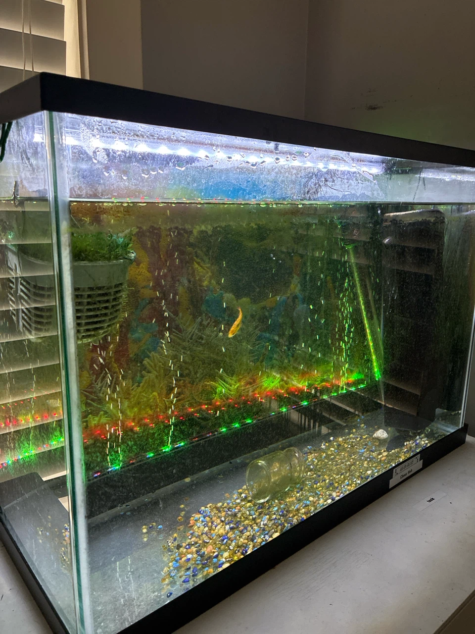Aquarium Fish Tank with Accessories