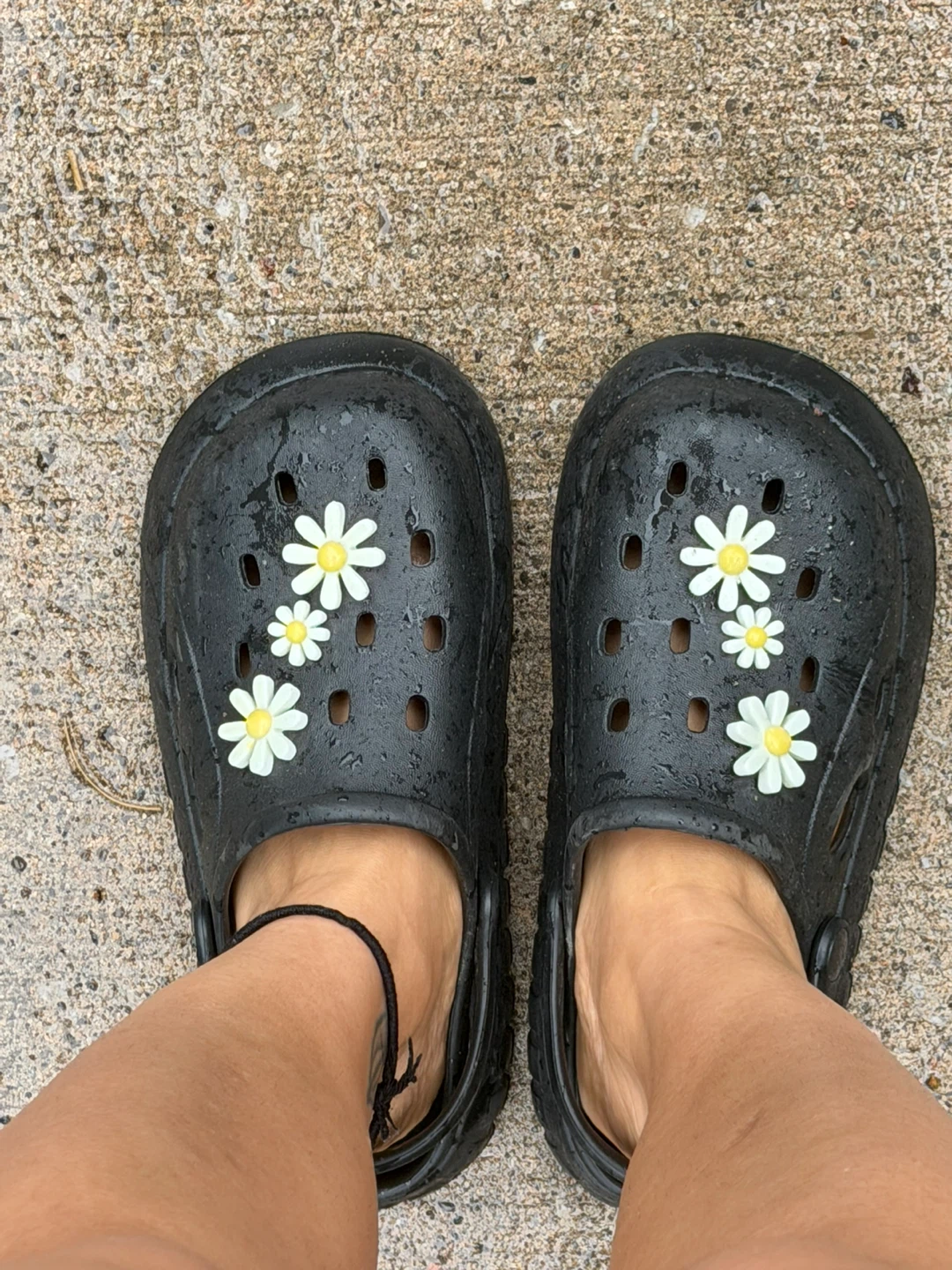 Black Crocs with Daisy Charms