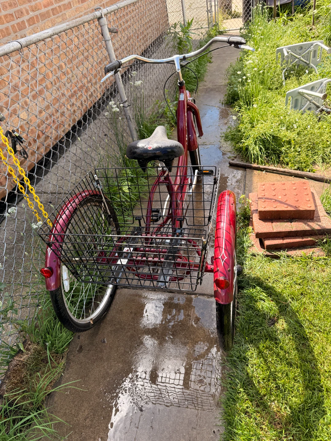 Schwinn Marathon Tricycle