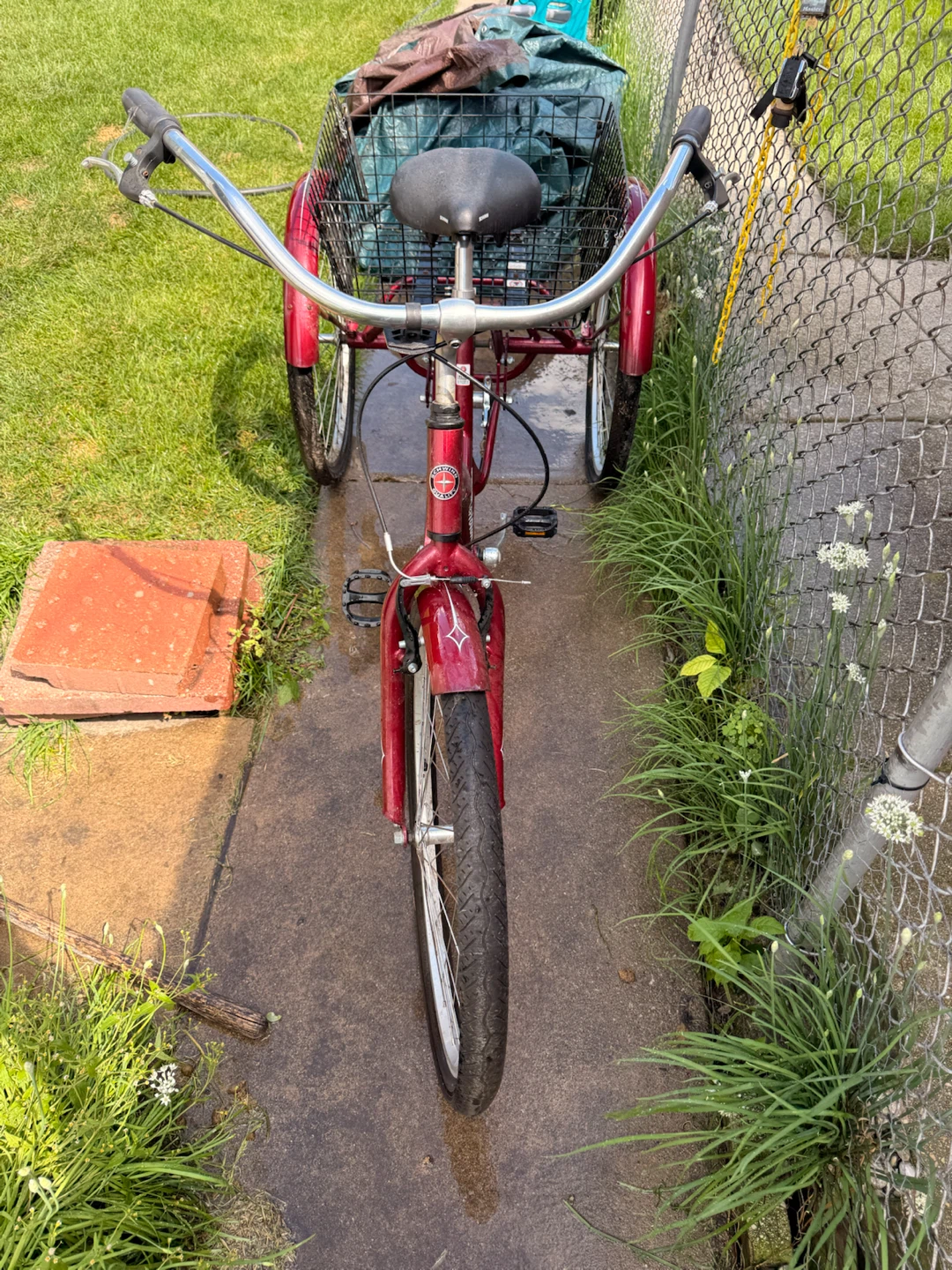 Schwinn Marathon Tricycle - photo 2