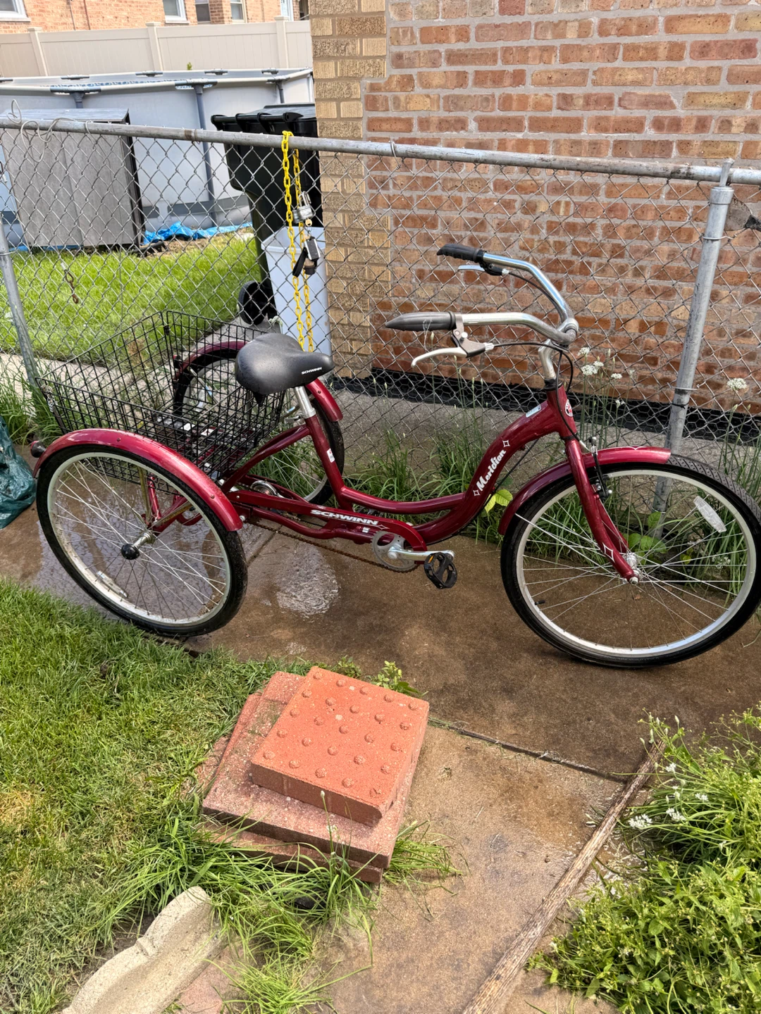 Schwinn Marathon Tricycle - photo 3