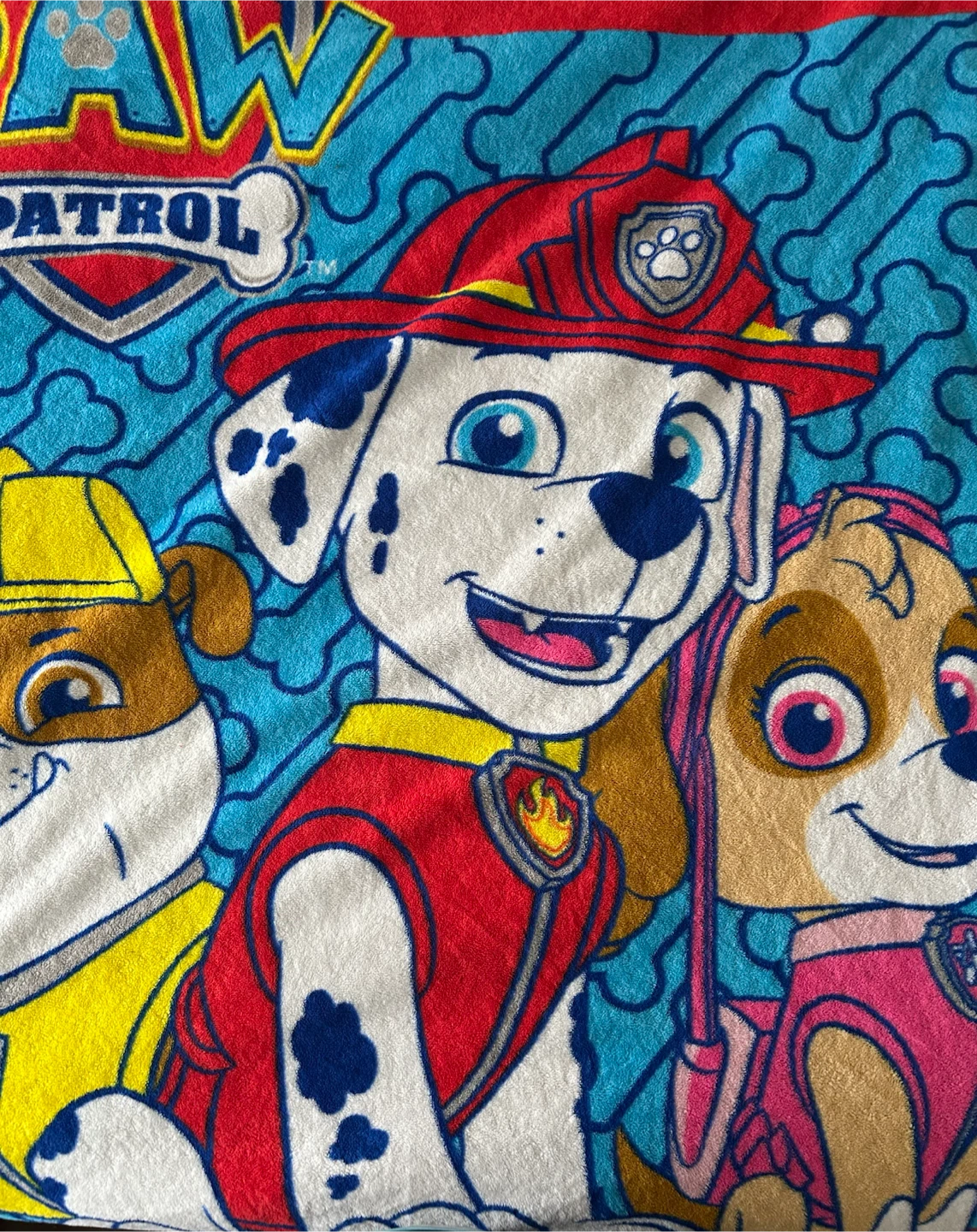 Paw Patrol Blanket