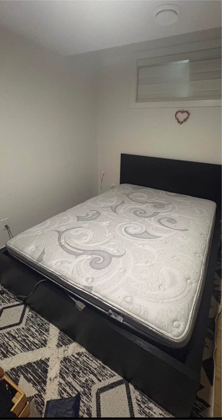 Queen Bed Frame and Mattress