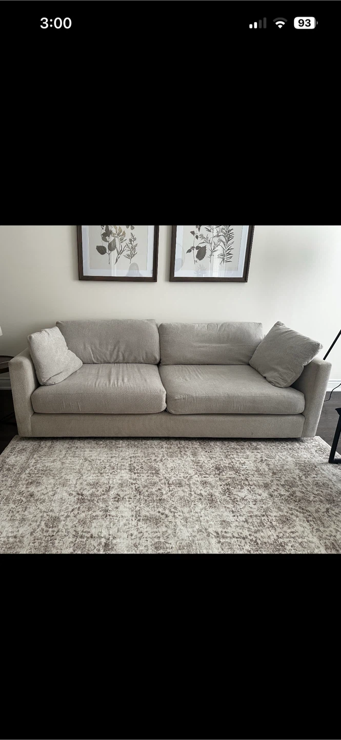 Light grey couch