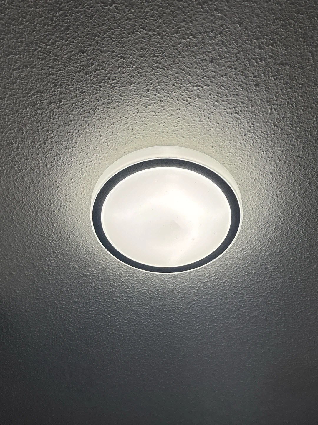 Flush Mount Ceiling Light Fixture
