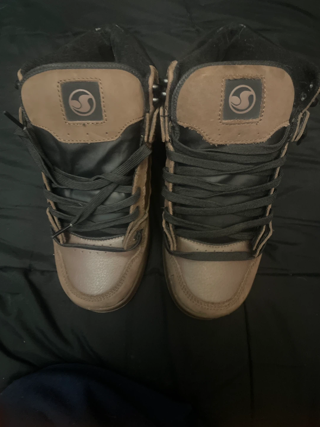 DVS skating shoes