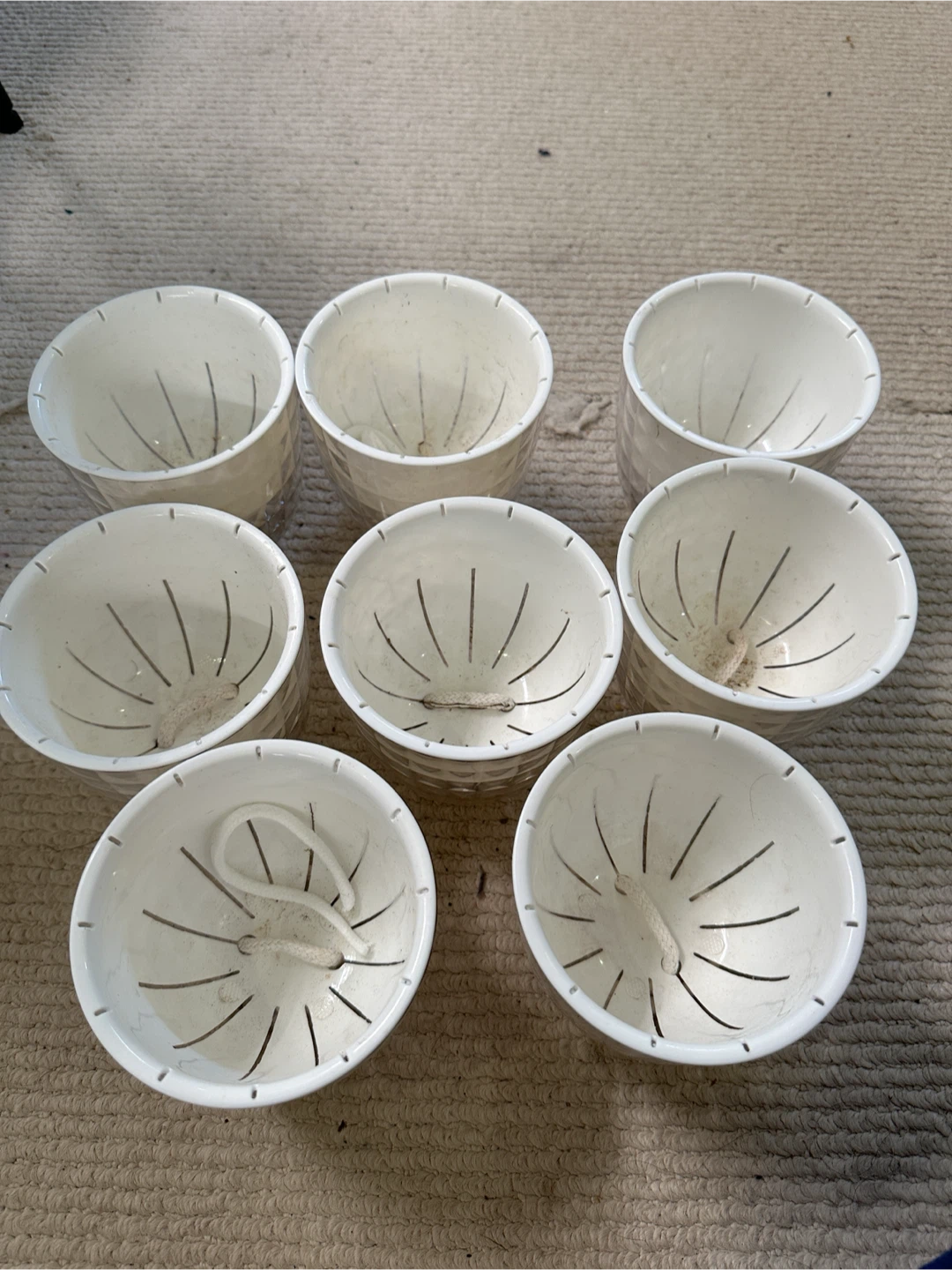 Self Watering Planter Bundle x8
