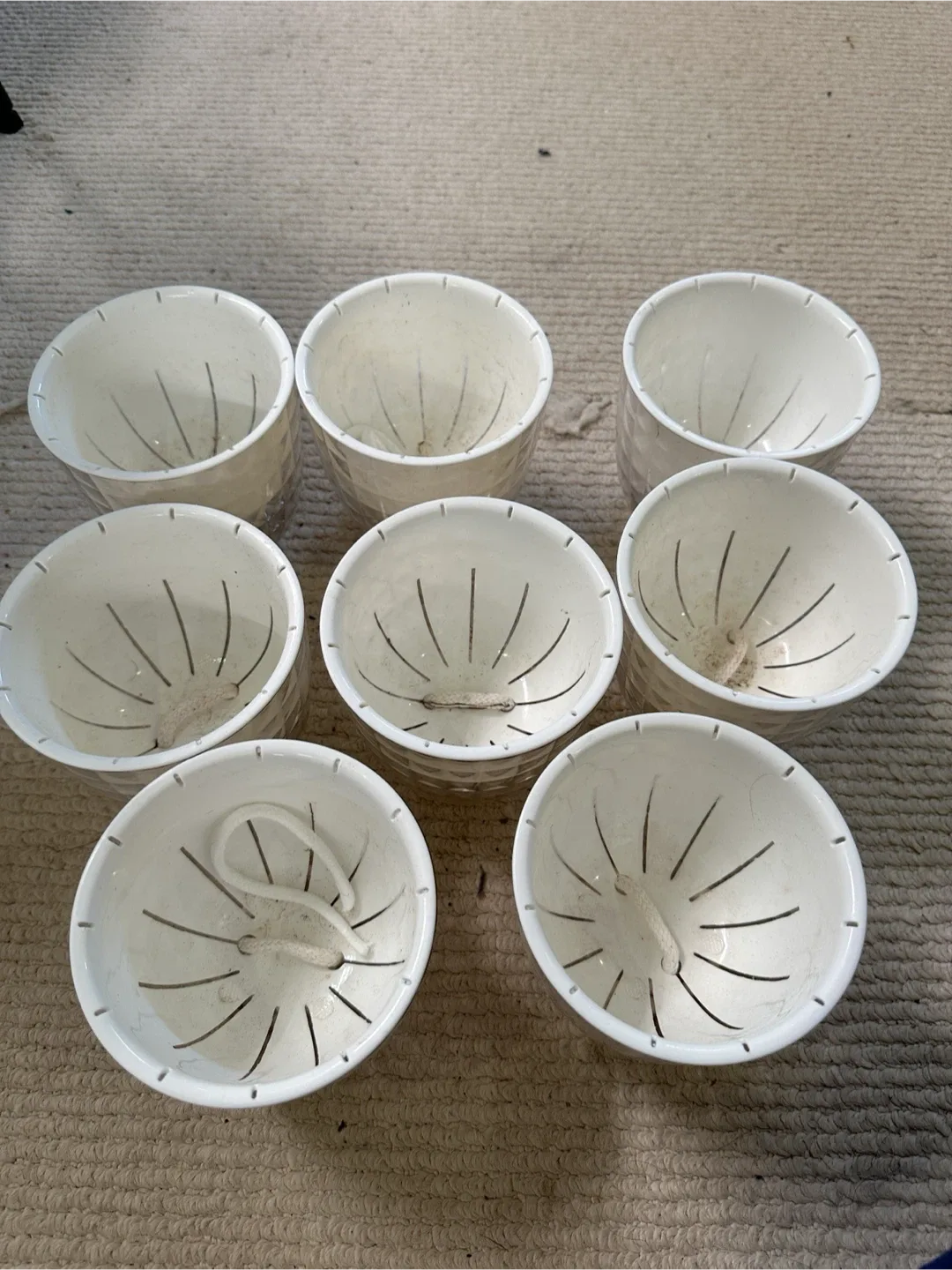 Self Watering Planter Bundle x8
