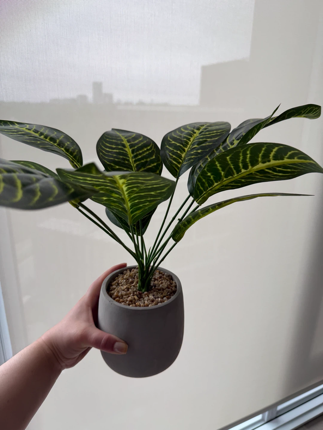 Artificial Zebra Plant in Grey Pot