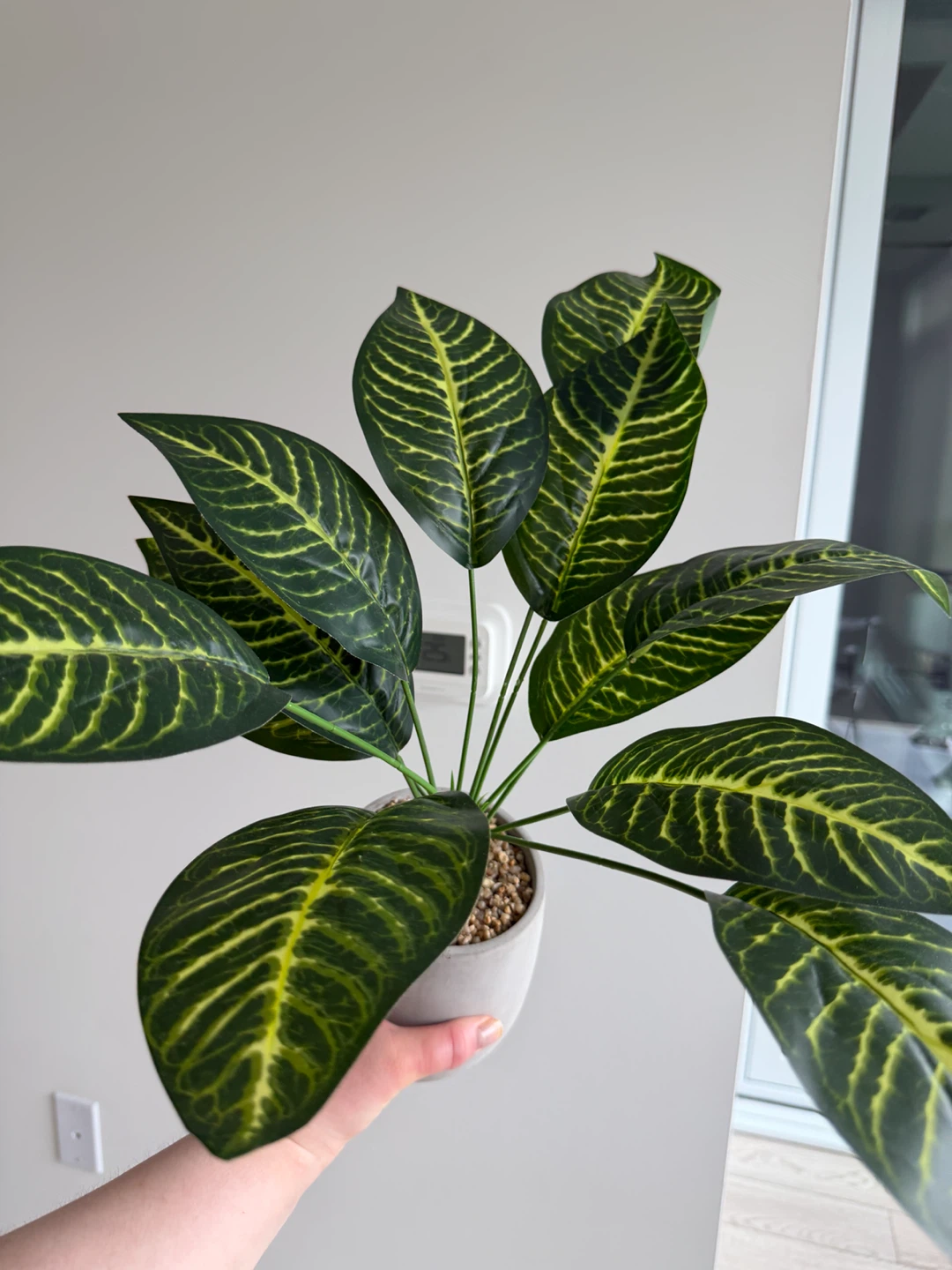 Artificial Zebra Plant in Grey Pot - photo 2